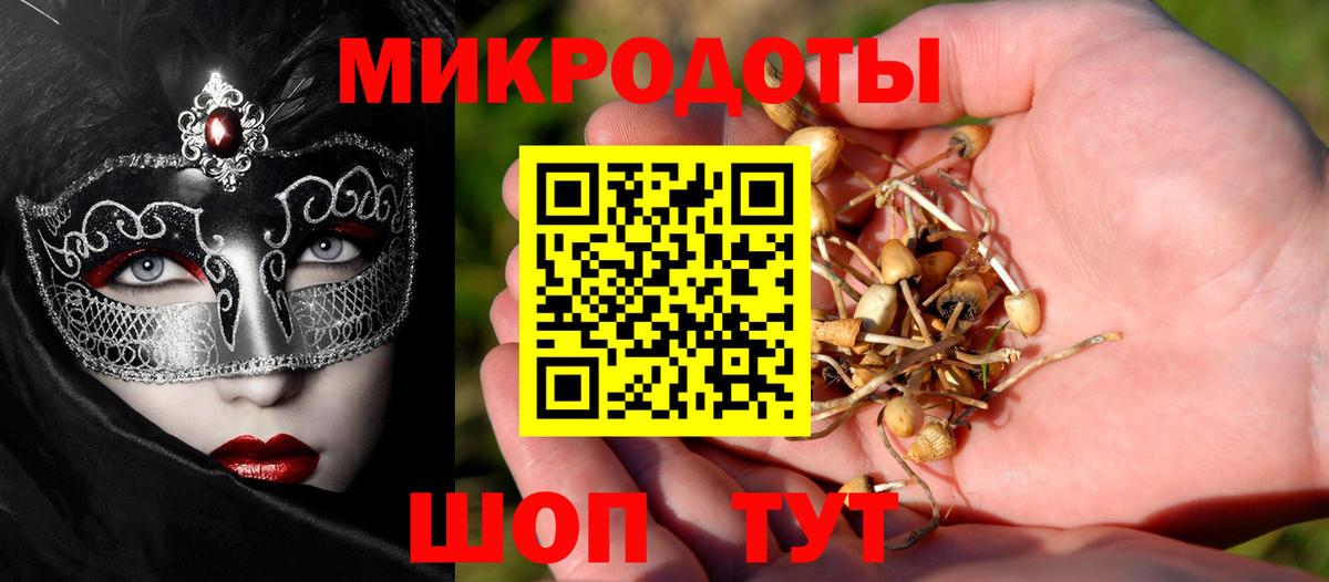 Галлюциногенные грибы прущие грибы  Псилоцибиновые грибы мицелий  Вход с VPN  Холмск 